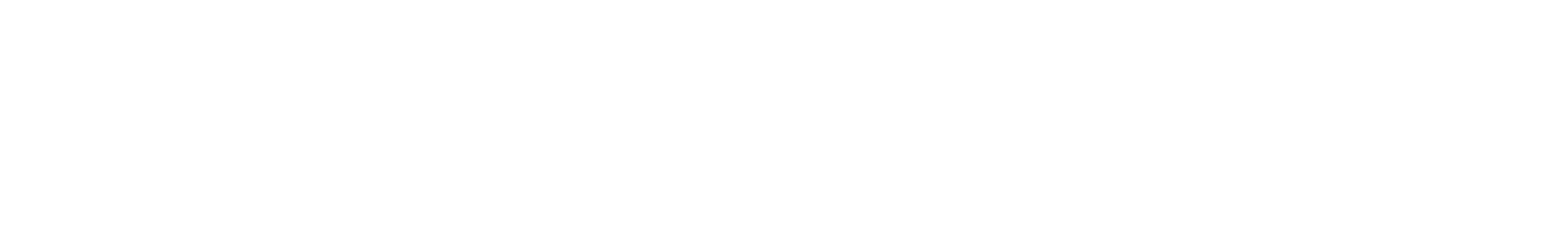 Logo Dir zur Feier | Trauerrednerin München